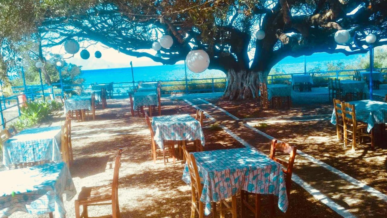 Camping Kato Alissos מראה חיצוני תמונה